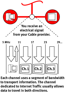 Cable